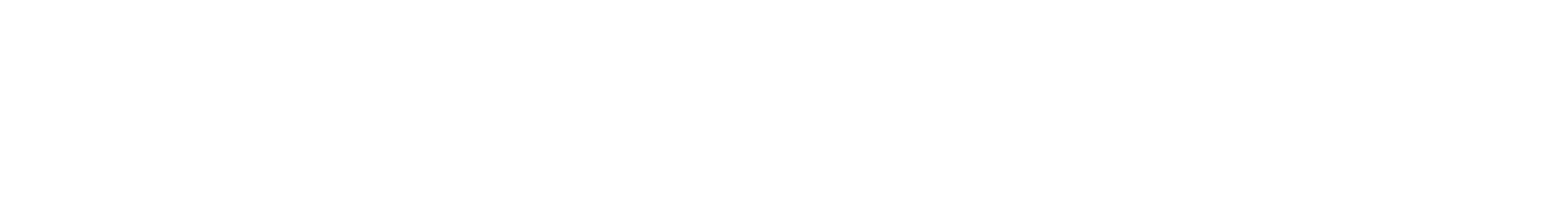 SPORTTYRE